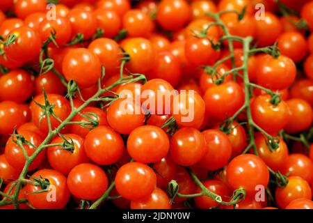 Pomodori ciliegini rossi su rametti verdi, verdure fresche nel mercato Foto Stock