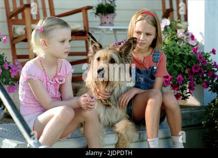 FANNING,ROBB, A CAUSA DI WINN-DIXIE, 2005 Foto Stock