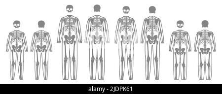 Set di Skeleton Costume ossa umane con scull fronte retro vista uomini donne, bambini - ragazzo, ragazza per i vestiti per Day of the dead piatto nero colore concetto Vector illustrazione di anatomia isolata Illustrazione Vettoriale