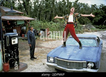 JIM CARREY, Ace Ventura: l'acchiappanimali, 1994 Foto Stock