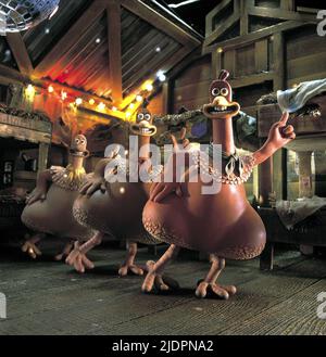 Pollo ballo, il pollaio, 2000 Foto Stock