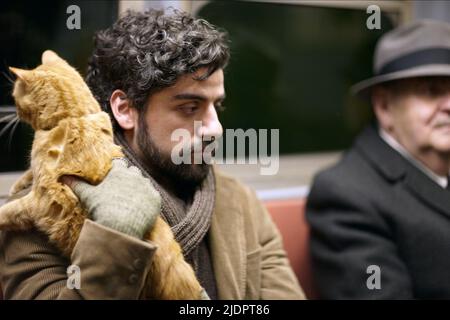 OSCAR ISAAC, ALL'INTERNO DI LLEWYN DAVIS, 2013, Foto Stock