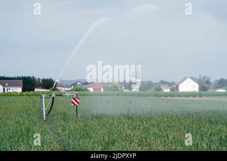 Beindersheim, Germania. 22nd giugno 2022. Un sistema di irrigazione spruzza acqua su un campo vicino a Beindersheim. Credit: Uwe Anspach/dpa/Alamy Live News Foto Stock