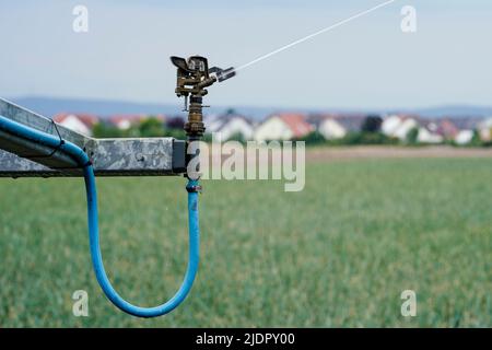 Beindersheim, Germania. 22nd giugno 2022. Un sistema di irrigazione collegato ad un carrello di tubo spruzza acqua su un campo vicino a Beindersheim. Credit: Uwe Anspach/dpa/Alamy Live News Foto Stock