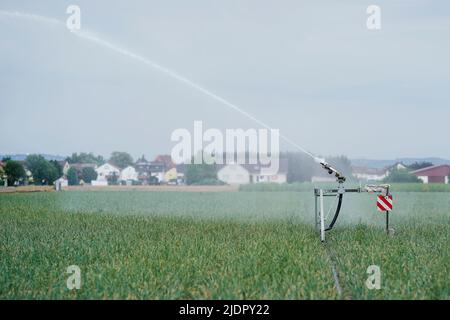 Beindersheim, Germania. 22nd giugno 2022. Un sistema di irrigazione spruzza acqua su un campo vicino a Beindersheim. Credit: Uwe Anspach/dpa/Alamy Live News Foto Stock