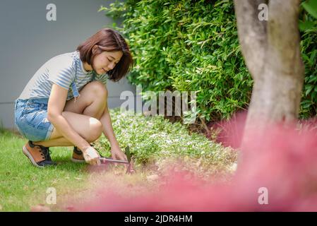Una donna asiatica giardiniere è pala e lavoro nel suo giardino. Foto Stock