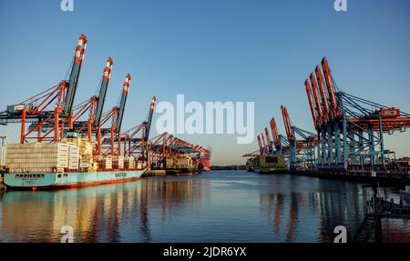 Amburgo, Germania. 23rd giugno 2022. Le navi portacontainer sono in attesa di essere movimentate presso i terminal del porto di Amburgo. Il sindacato Verdi chiede ai lavoratori portuali di procedere a uno sciopero di avvertimento della durata di 24 ore. Credit: Axel Heimken/dpa/Alamy Live News Foto Stock