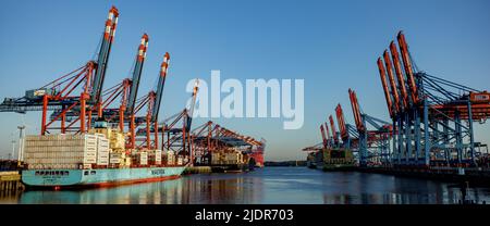 Amburgo, Germania. 23rd giugno 2022. Le navi portacontainer sono in attesa di essere movimentate presso i terminal del porto di Amburgo. Il sindacato Verdi chiede ai lavoratori portuali di procedere a uno sciopero di avvertimento della durata di 24 ore. Credit: Axel Heimken/dpa/Alamy Live News Foto Stock