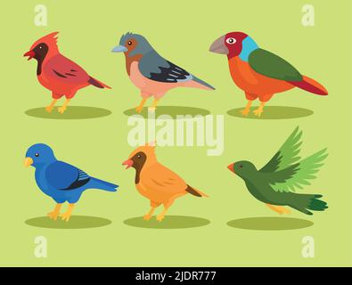 sei specie di uccelli icone Illustrazione Vettoriale
