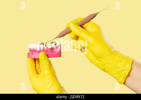 Mani del dentista con disposizione della mandibola umana e dello strumento dentale. Foto Stock