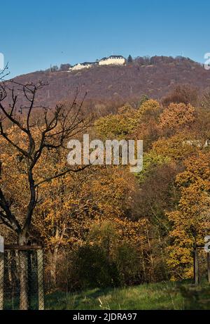 Konigswinter, Germania - 28 novembre 2020: Alberi colorati su una collina con un edificio bianco in un giorno d'autunno a Konigswinter, Germania. Foto Stock