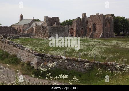 Priorato di Lindisfarne, fondato dal monaco irlandese St.Aidan nel 635 d.C., dal Heugh sull'Isola Santa, Northumberland. Foto Stock
