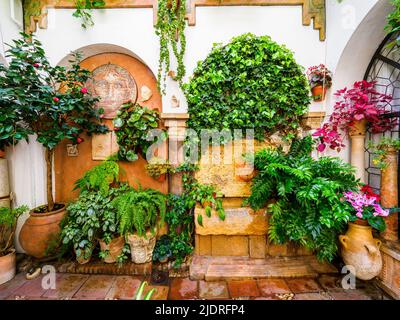 Tradizionale cortile andaluso pieno di piante e fiori nella città vecchia - Cordoba, Spagna Foto Stock