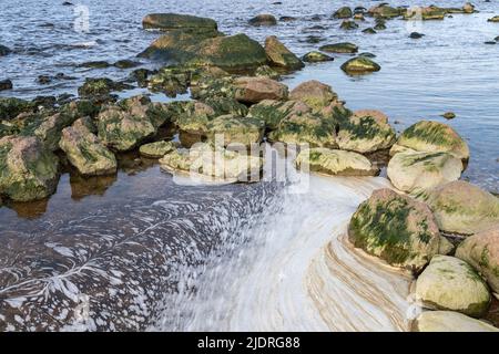 Pietre di granito bagnate con alghe si trovano in un'acqua poco profonda del Mar Baltico, costa del Golfo di Finlandia, Russia Foto Stock