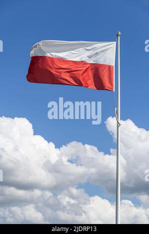 Bandiera della Polonia che vola al vento Foto Stock