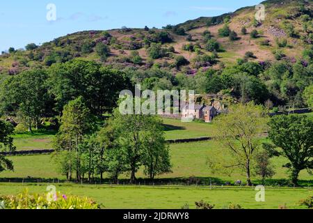 Un cottage remoto tra brughiera nella valle di Eskdale in un giorno d'estate, Lake District Cumbria Inghilterra UK Foto Stock
