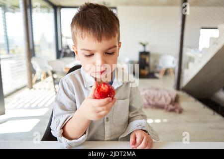 Il ragazzino tiene in mano una fragola fresca per le vitamine e la salute Foto Stock