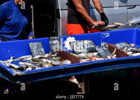 Marsiglia, Francia. 09th giugno 2022. I pescatori vendono il loro pesce su un molo nel Porto Vecchio di Marsiglia. (Foto di Gerard Bottino/SOPA Images/Sipa USA) Credit: Sipa USA/Alamy Live News Foto Stock