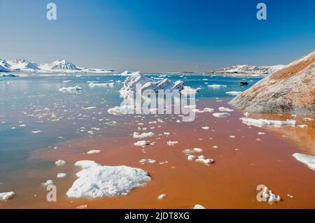 Scenario da Kings fiordo (Kongsfjorden) in west Spitsbergen Svalbard nel giugno 2008. Foto Stock