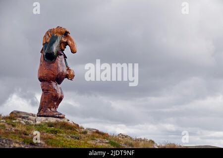 Troll norvegese dal nord Hardangervidda, Buskerud county. Foto Stock