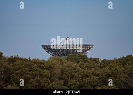 Piatti satellitari di Goonhilly Earth Station, Goonhilly Downs, il Lizard, Cornovaglia Foto Stock