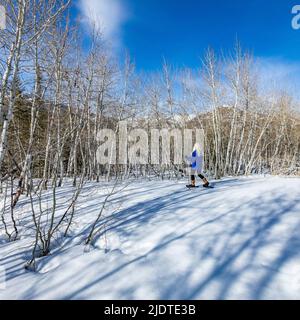 USA, Idaho, Ketchum, donna bionda anziana con racchette da neve in un paesaggio innevato Foto Stock