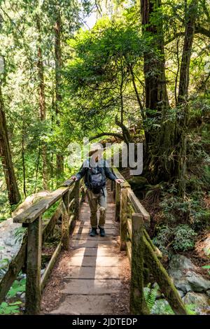 USA, California, Mill Valley, Senior man trekking attraverso la foresta di sequoie vicino al Monte Tamalpais Foto Stock