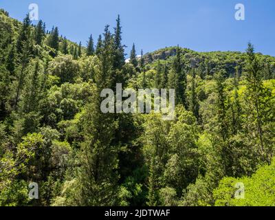 Collina coperta di cipresso di ulivo piano e querce in montagna interno di Lefkada nelle Isole IONIE della Grecia Foto Stock