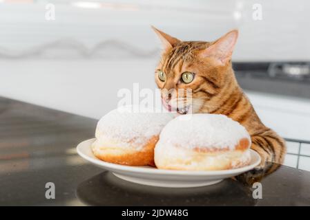 Il gatto bengala lecca le labbra quando vede una deliziosa ciambella di gelatina su un piatto. Foto Stock