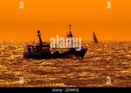 Peschereccio da traino inferiore, barca da pesca che naviga lungo la costa del Mare del Nord e si affaccia sul tramonto arancione di fronte a Nieuwpoort / Nieuport, Fiandre, Belgio Foto Stock