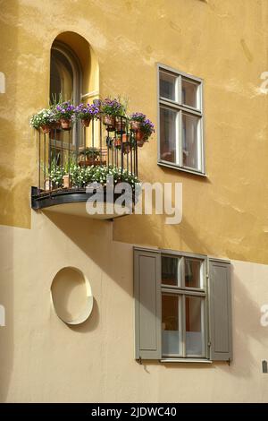 Vista delle case gialle della città di Stoccolma, Gamla Stan con fiori in vaso e piante che crescono su un balcone. Viaggi, turismo all'estero, vacanze all'estero Foto Stock