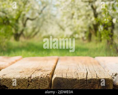 Tavolo di legno sullo sfondo della natura pittoresca. Erba verde, alberi fioriti. Attività ricreative all'aperto, stile di vita sano, bellezza della natura, picnic, f Foto Stock