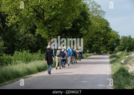 Spagna. Camminando verso Castrojeriz sul Camino de Santiago. Foto Stock