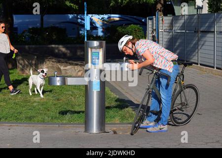 Una persona beve da una fontana d'acqua pubblica in Hudson River Park, New York City, mentre un cane assetato ansioso guarda sopra. Foto Stock