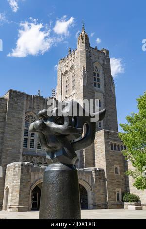 Edificio accademico nel campus della Princeton University Foto Stock