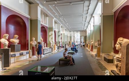 Hall os busti e statue presso l'Ashmolean Museum, Oxford, Oxfordshire, Regno Unito il 16 giugno 2022 Foto Stock