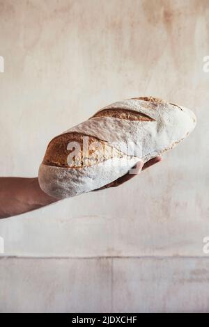 Una mano di panettiere che tiene il pane appena sfornato di coiuntry davanti alla parete Foto Stock