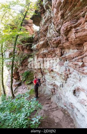 Germania, Renania-Palatinato, escursionista anziano lungo il percorso di formazione di rocce di arenaria rossa nella foresta di Palatinato Foto Stock