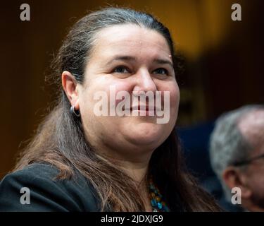 Washington, Stati Uniti. 23rd giugno 2022. Oksana Markarova, Ambasciatore ucraino negli Stati Uniti, parla dell'Ucraina in un evento organizzato dal McCain Institute. Credit: SOPA Images Limited/Alamy Live News Foto Stock