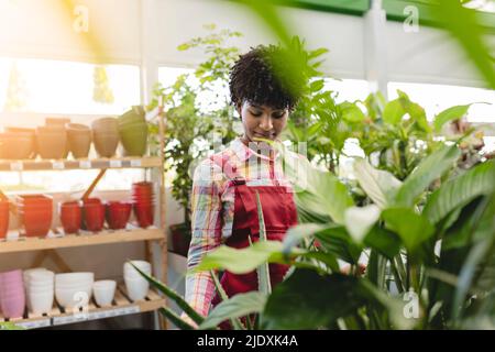 Giovane giardiniere in piedi da piante in vivaio Foto Stock