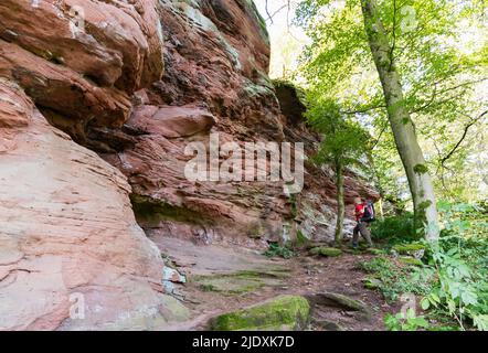 Germania, Renania-Palatinato, escursionista senior che sale lungo la formazione di rocce di arenaria rossa nella foresta di Palatinato Foto Stock