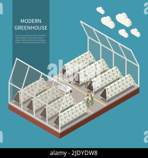 Moderno concetto isometrico di serra complesso con illustrazione vettoriale di simboli di hydroponics e di aeroponics Illustrazione Vettoriale