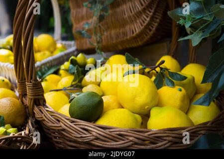 scatto di una decorazione con limoni artificiali . primo piano Foto Stock