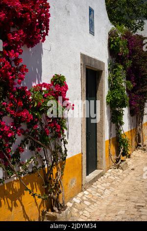 Il rosso rosato ricco e il viola floreale profondo si combinano con la vernice di casa giallo brillante e il blu sottile di un pannello di piastrelle azulejos per creare questa scena colorata in una tranquilla strada acciottolata fiancheggiata da case tipicamente portoghesi imbiancate nella città medievale fortificata di Óbidos, Centro, Portogallo. Foto Stock