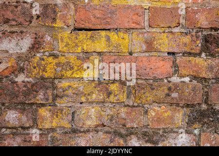 Muro fatto di vecchi mattoni scoloriti Foto Stock