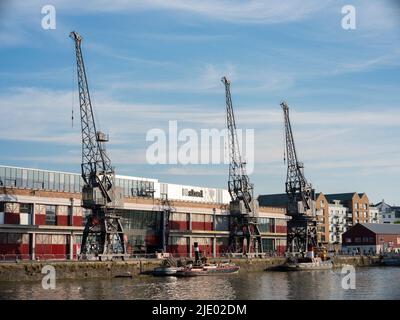 Gru, barche a remi e il mShed nella zona galleggiante del porto di Bristol in una serata estiva soleggiata. Foto Stock