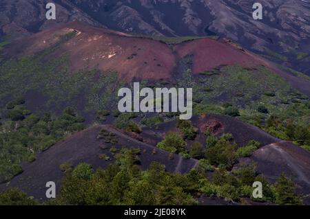 Percorso circolare intorno ai Monti Sartorius, pietre laviche rosse, suolo vulcanico, vista sul Cratere del Bambino, vulcano Etna, Sicilia, Italia Foto Stock