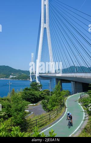 Ciclisti che percorrono la pista ciclabile Shimanami Kaido tra Onomichi e Imabari in Giappone. L'immagine mostra il Ponte Tatara, che fa parte del corso. Foto Stock