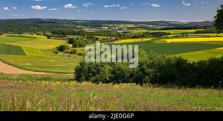 Paesaggio culturale nel distretto Reno-Lahn, Renania-Palatinato, Germania Foto Stock
