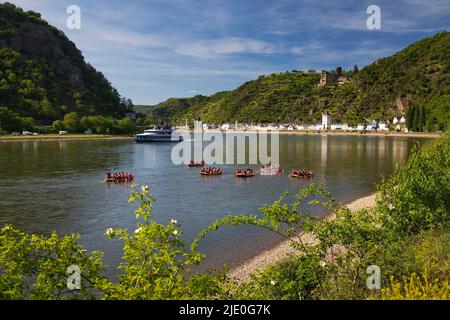 Il Reno a Loreley Harbour con vista sul castello di Katz, St. Goarshausen, Renania-Palatinato, Germania Foto Stock